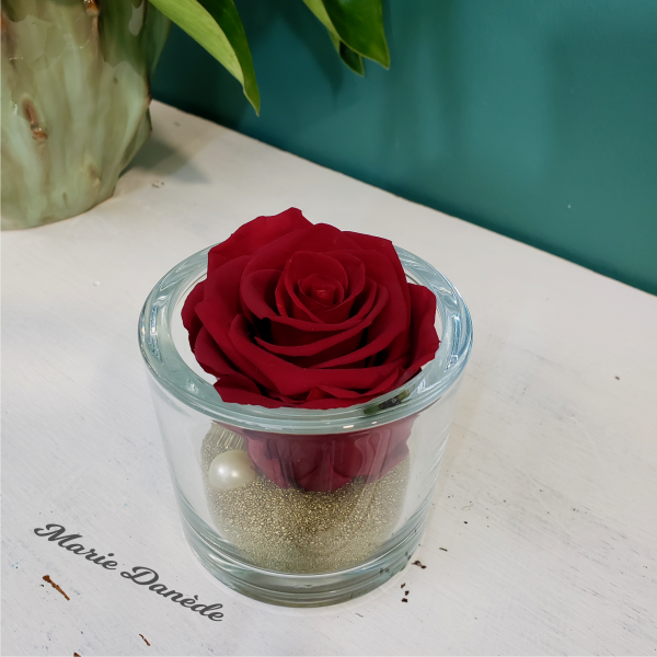 Rose eternelle Marie Danède Art Floral et Curiosités 21