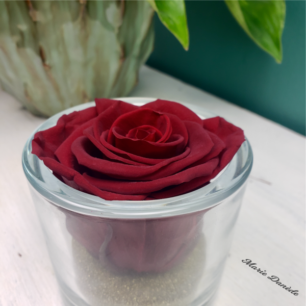 Rose eternelle Marie Danède Art Floral et Curiosités 23