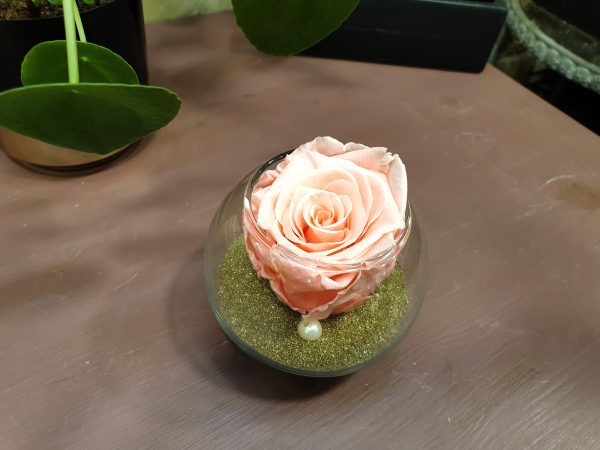 Rose éternelle et sa bulle de verre V2 Marie Danède Art Floral et Curiosités1