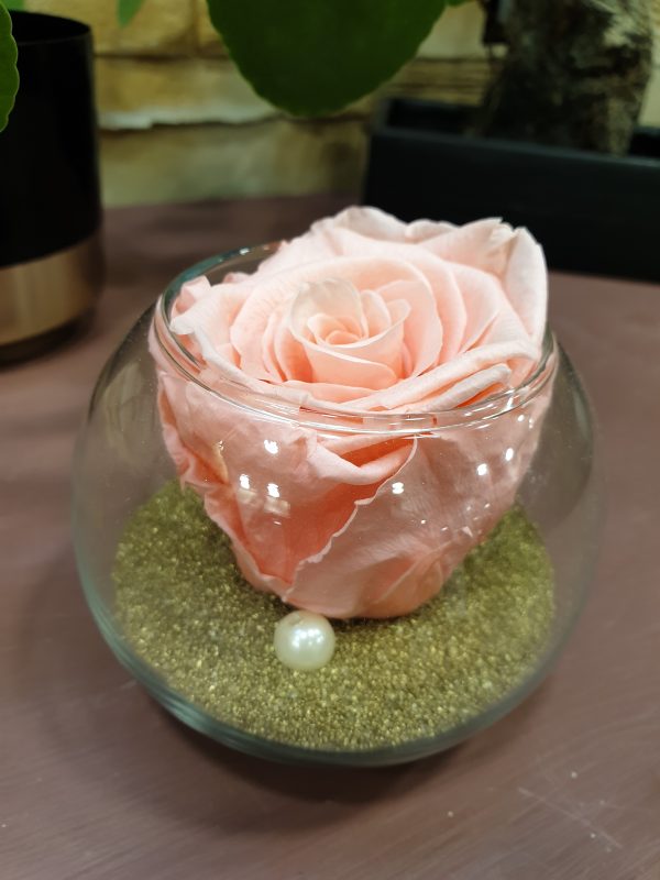 Rose éternelle et sa bulle de verre V2 Marie Danède Art Floral et Curiosités2