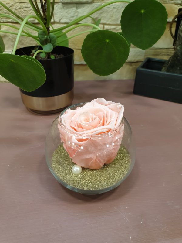 Rose éternelle et sa bulle de verre V2 Marie Danède Art Floral et Curiosités4