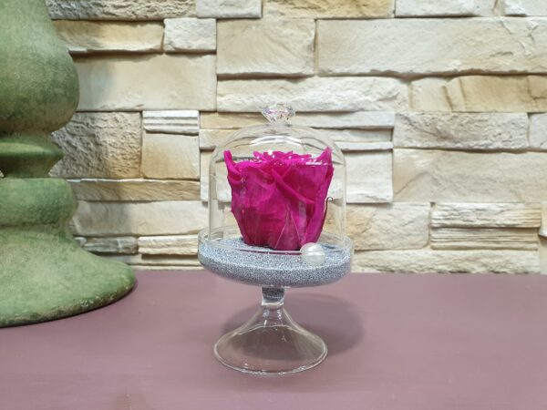 rose eternelle et sa cloche de verre_Marie Danède_Art Floral et Curiosités_2