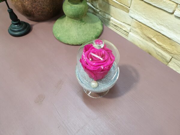 rose eternelle et sa cloche de verre_Marie Danède_Art Floral et Curiosités_3