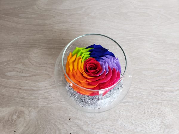 Rose éternelle arlequin Marie Danède 2