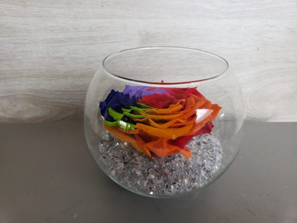 Rose éternelle arlequin Marie Danède 3
