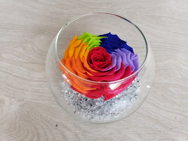 Rose éternelle arlequin Marie Danède 4