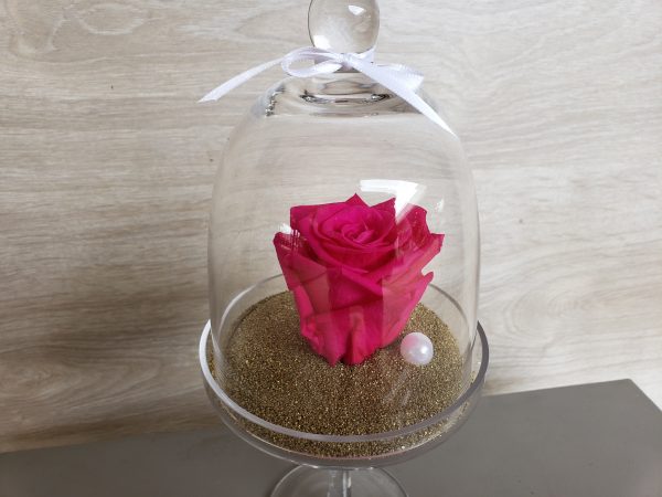 Rose éternelle dans sa cloche sur pied Marie Danède 2