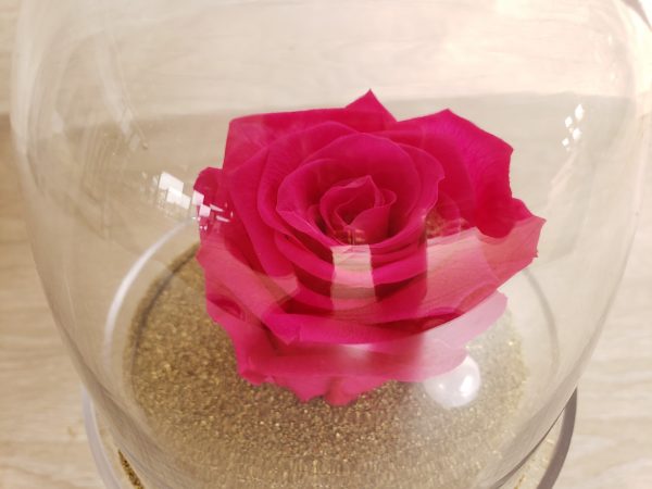 Rose éternelle dans sa cloche sur pied Marie Danède 3