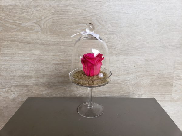Rose éternelle dans sa cloche sur pied Marie Danède 4