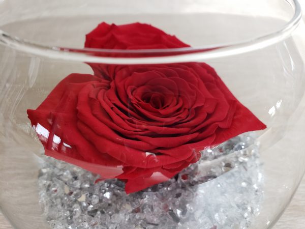 Rose éternelle en coeur Marie Danède 2