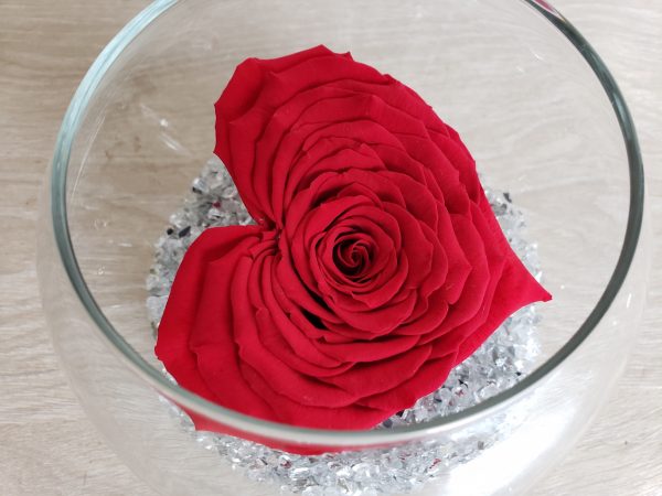 Rose éternelle en coeur Marie Danède 4 1