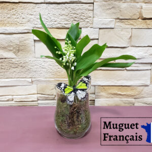 Muguet des bois dans sa verrerie papillon Marie Danède 1