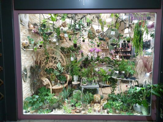 vitrine fete des meres_2022_Marie Danède_Art Floral et Curiosités_7